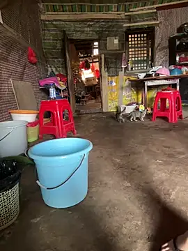 xiaoxiong0508