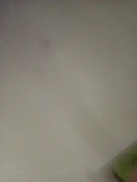 anisuescun webcam