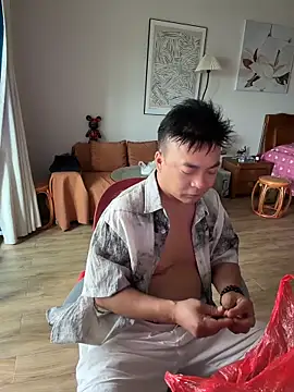 nanshe9488 webcam