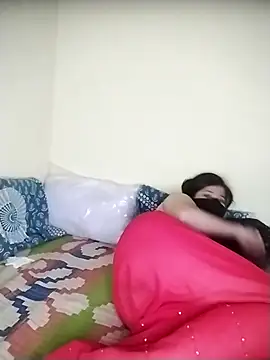 Pari8822 webcam