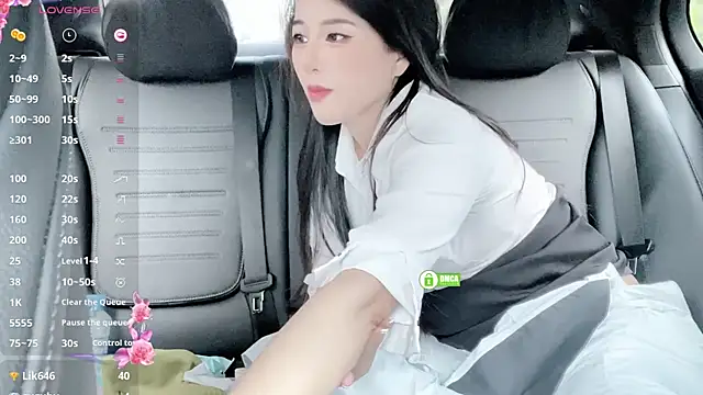 Kaixin520 webcam