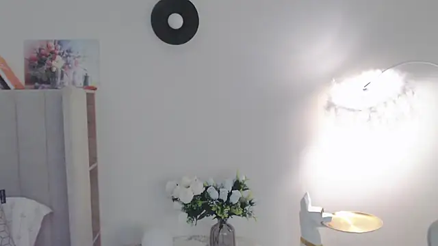 VeliaSai webcam
