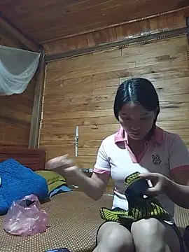 Td3di webcam
