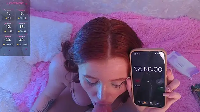 mirida_fox webcam