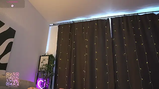 FlairEdgin webcam