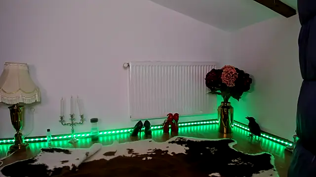 ViciousSiren webcam