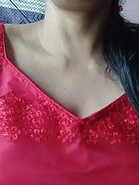 CamDesire webcam