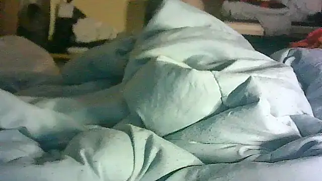 _P3RKY_IMMORTAL3_FIR3_ webcam