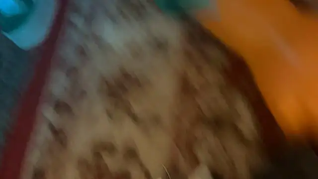 ikinkso webcam