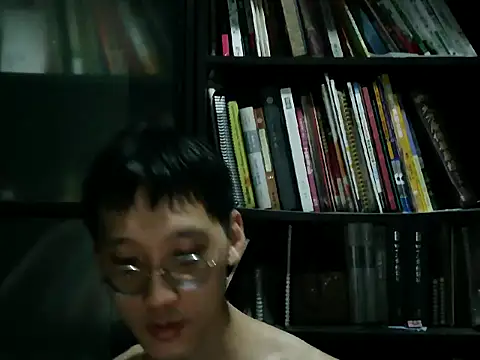 Lv8763 webcam