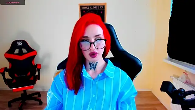 your_tora webcam