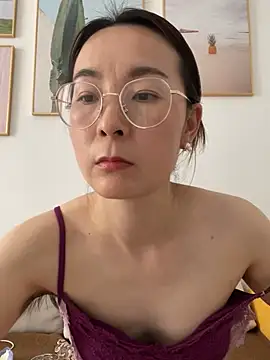 you-520 webcam