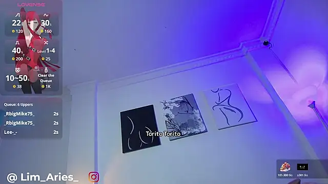 lim_aries webcam