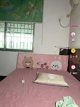 hjlp05 webcam