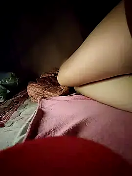 -Tara-a webcam