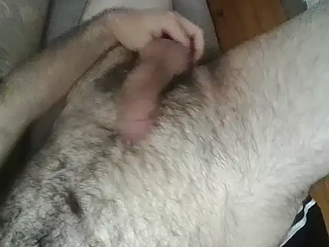 HairyMaster webcam
