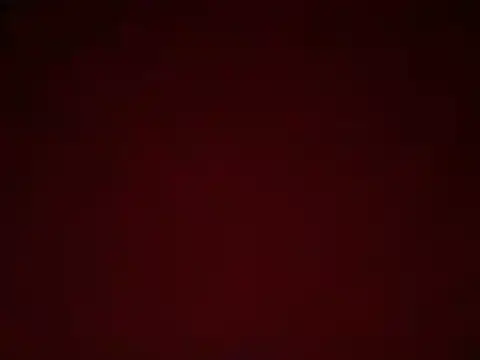 R15_Playboy webcam