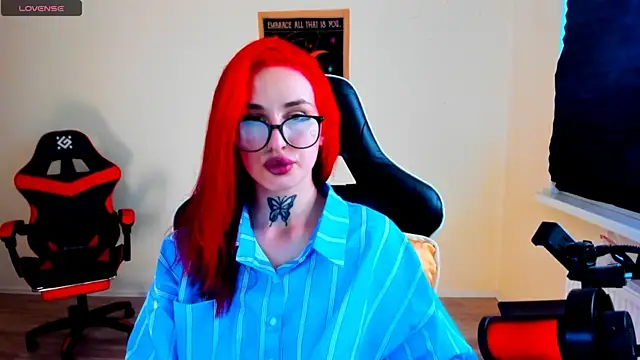 your_tora webcam