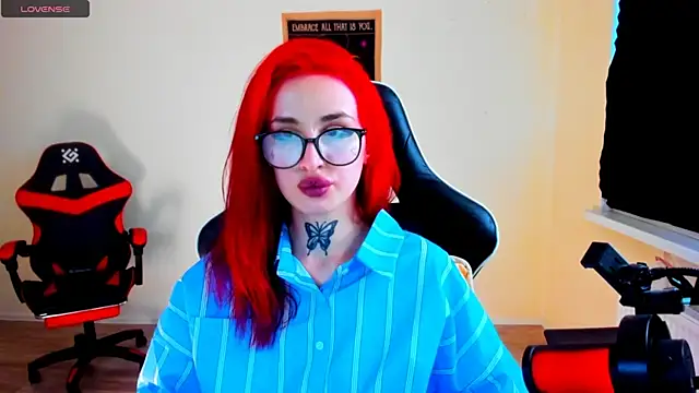 your_tora webcam