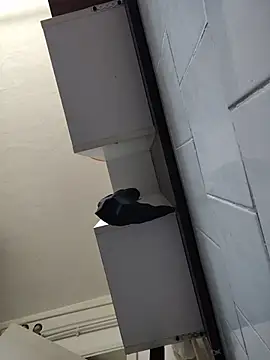 intx800 webcam