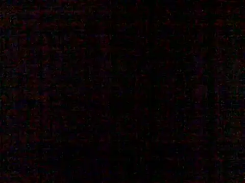 steelwings1976 webcam