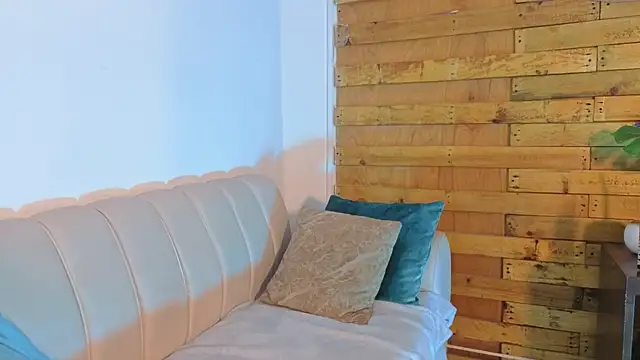 pixy_20 webcam