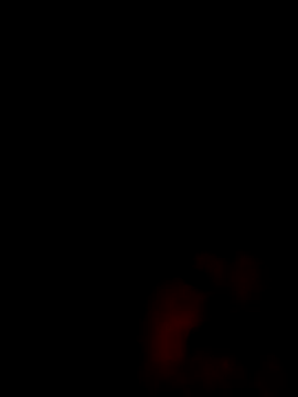 Kokomlu- webcam