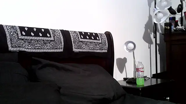 Rickavelli_ webcam