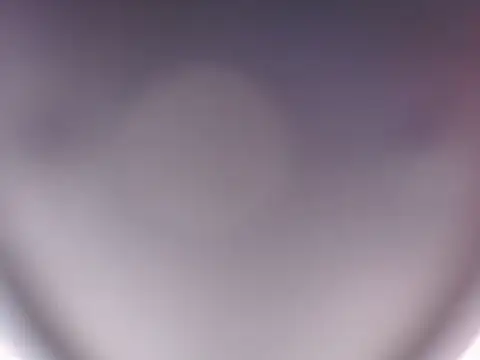 patrickvsnoah webcam