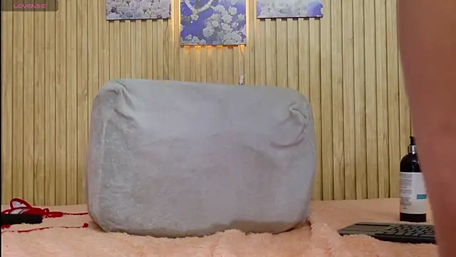 Moonceleste webcam