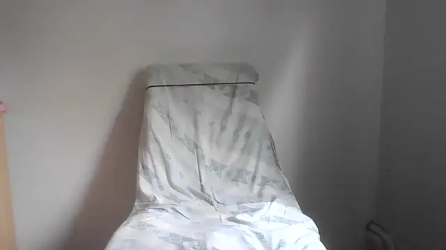 fl3xxx1 webcam