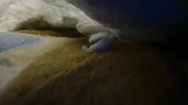 SexyyMandy webcam