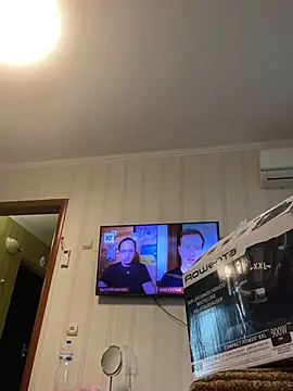 Frosl webcam