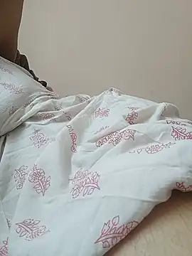 Hansikatelugu webcam