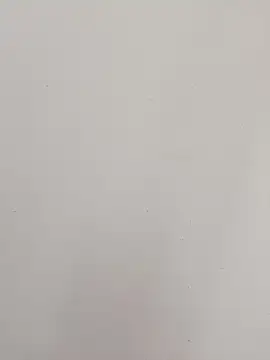 EmmaSulivan webcam