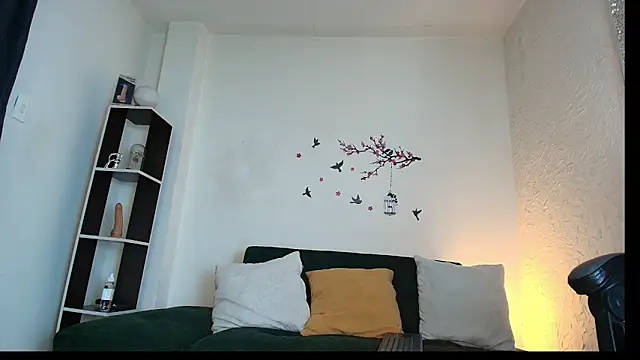 _Anais_Lanz webcam