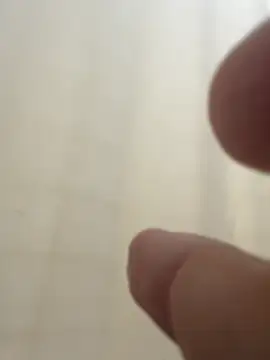 LatinFurBall webcam
