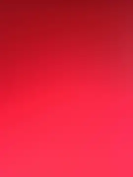 BunnyBurn webcam