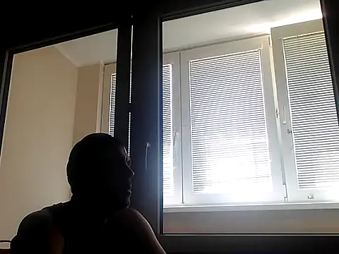 Sully_Kane webcam