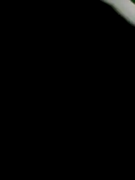 pino870 webcam