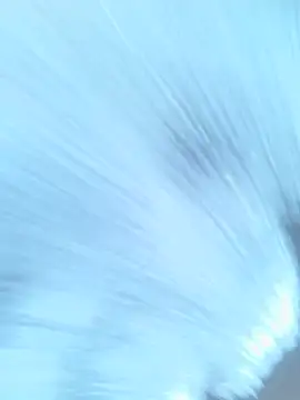 superwetpeach webcam