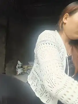 he-se-kin webcam