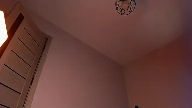missinfull webcam