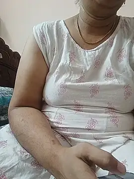 Hansikatelugu webcam