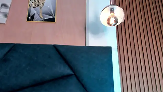 LaurentFerrer webcam