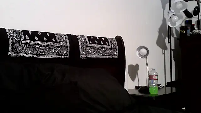 Rickavelli_ webcam