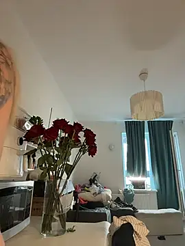 OdriOlsens webcam