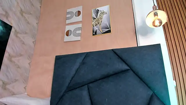LaurentFerrer webcam