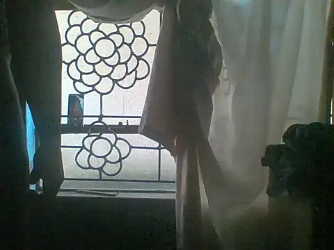 S_C1 webcam