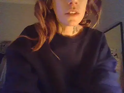 plsmecha webcam